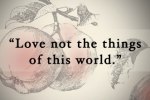 love not the things