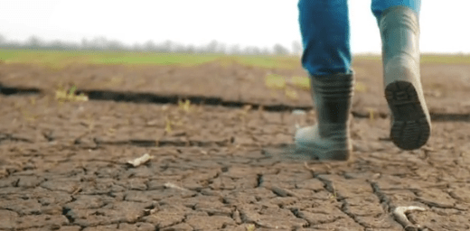 Thinking upon God | Recent Ponderings upon the Revelation of&nbsp;Jesus